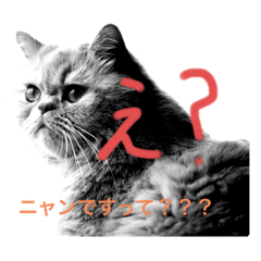 [LINEスタンプ] コロンのぽっちゃりスタンプ