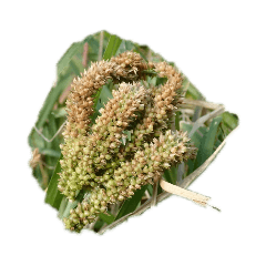 [LINEスタンプ] 好きなmillet
