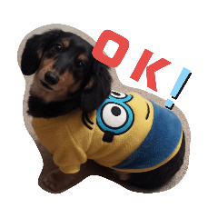 [LINEスタンプ] TORUKON RIRI2