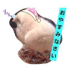 [LINEスタンプ] chicken＆chickOO1