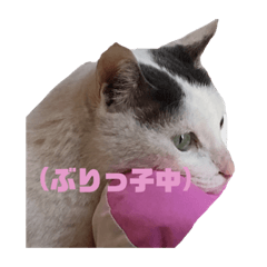 [LINEスタンプ] りっかと仲間たち