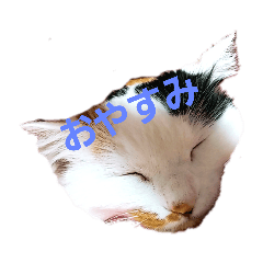 [LINEスタンプ] でぶたま。