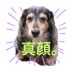 [LINEスタンプ] おでぶのりくくん