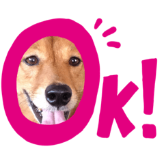 [LINEスタンプ] うちのぶん太