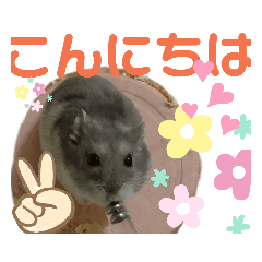 [LINEスタンプ] はむちゃんかわいいスタンプ3