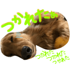 [LINEスタンプ] L.Nオリジナルスタンプ