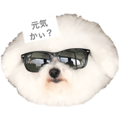 [LINEスタンプ] 私たちははな＆まるです