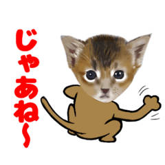[LINEスタンプ] 顔だけリアル、いち