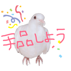 [LINEスタンプ] 健気なはーちゃん！