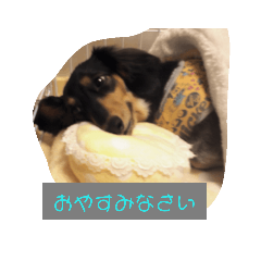 [LINEスタンプ] TORUKON RIRI3