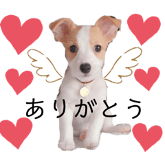 [LINEスタンプ] JRT☆ステラ