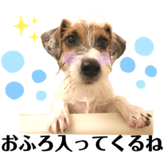 [LINEスタンプ] ピコラの毎日スタンプ ワクワク編