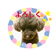 [LINEスタンプ] まいにち pinky③