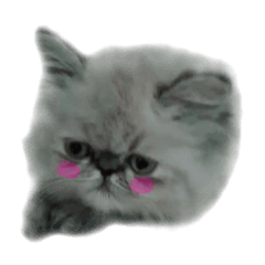 [LINEスタンプ] 毛玉1