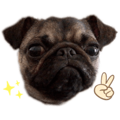 [LINEスタンプ] まめスタンプ①
