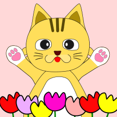[LINEスタンプ] 動く！ねこ"MOFUPOKO"気まぐれな可愛い猫