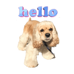 [LINEスタンプ] アメコカのごくまる
