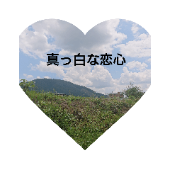 [LINEスタンプ] ぽのぼの