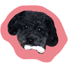 [LINEスタンプ] ごまさんの日常