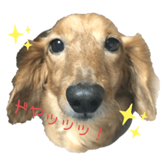 [LINEスタンプ] まりはなスタンプ