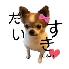 [LINEスタンプ] ミルクはペット