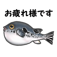 [LINEスタンプ] 釣り好き・魚好きが喜ぶスタンプ