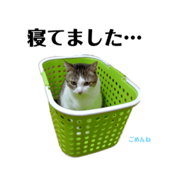 [LINEスタンプ] さくらとちゅび