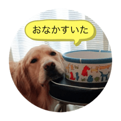 [LINEスタンプ] シロップ あいさつ