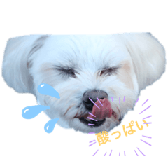 [LINEスタンプ] ひめちゃん001スタンプ