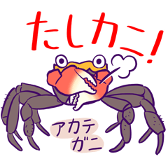 [LINEスタンプ] かにっこ館公式スタンプ