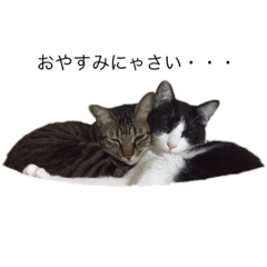 [LINEスタンプ] ライ君とフウちゃんの日常