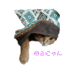[LINEスタンプ] めるくまちゃん