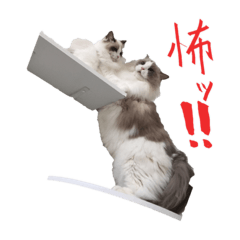 [LINEスタンプ] ふわららスタンプ