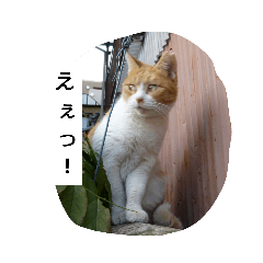[LINEスタンプ] みんな家族3