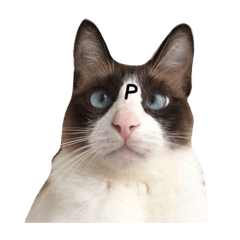 [LINEスタンプ] 猫のぽこにゃん3