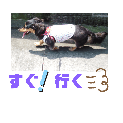 [LINEスタンプ] TORUKON RIRI5
