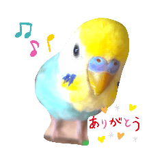 [LINEスタンプ] 愛しのインコ