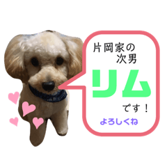 [LINEスタンプ] りむたん②