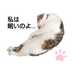 [LINEスタンプ] 気分屋の猫