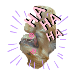 [LINEスタンプ] ららチャマ！！