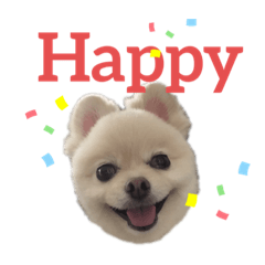 [LINEスタンプ] dog is Purin 2
