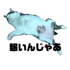 [LINEスタンプ] でぶねこマーフィーwithクセの強い広島弁の画像（メイン）