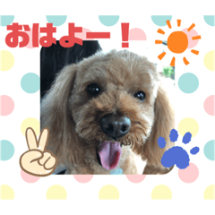 [LINEスタンプ] 綾翔と小太郎とむぎ2