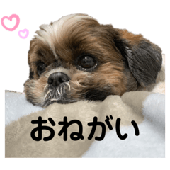 [LINEスタンプ] 俺、レアル。