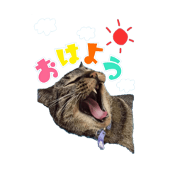[LINEスタンプ] 我が家のまいりー