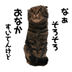 [LINEスタンプ] 癒される〜ぜ