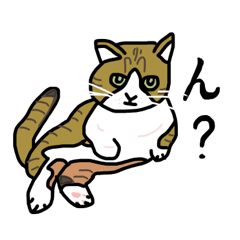 [LINEスタンプ] メイちゃんの世界です。