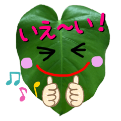 [LINEスタンプ] 毎日使える幸せモンステラ