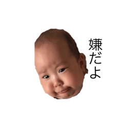 [LINEスタンプ] はい、はい