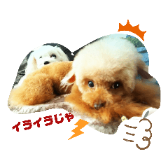 [LINEスタンプ] ちーずメリーよく使う挨拶